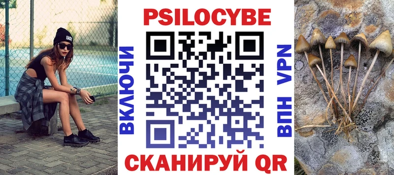 что такое   Цоци-Юрт  Галлюциногенные грибы Psilocybine cubensis 